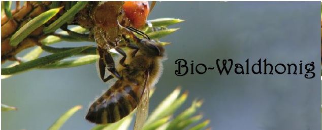 Bio-Waldhonig 250 Gramm