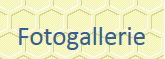 Fotogallerie