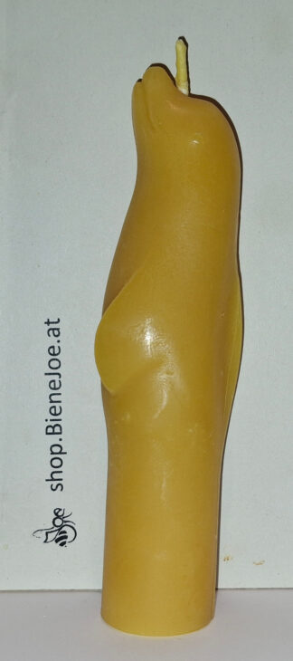 Honigkerze "Delphin"